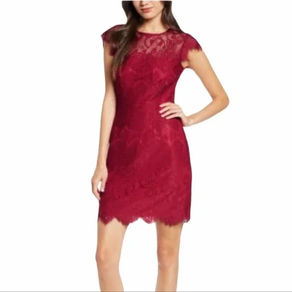 chinese dress ladies City Darling Lace Skater Mini Dress
